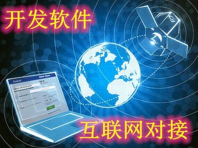 JAVA软件R开发C#定制计算机小程序设计网页App